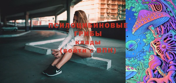 кокс Алексин
