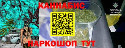 крисы Ирбит
