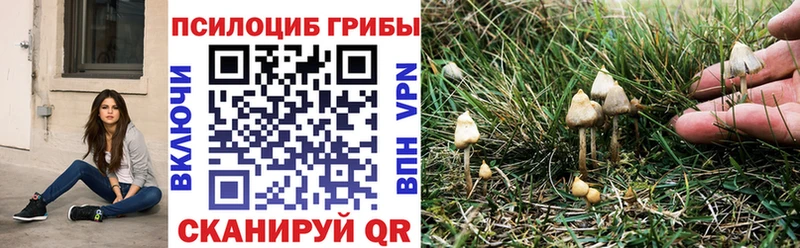 Галлюциногенные грибы прущие грибы  Миллерово 